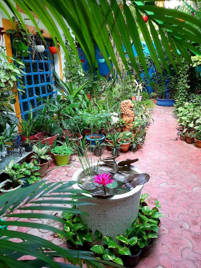 The Coral House Homestay By The Taj Agra  Luaran gambar